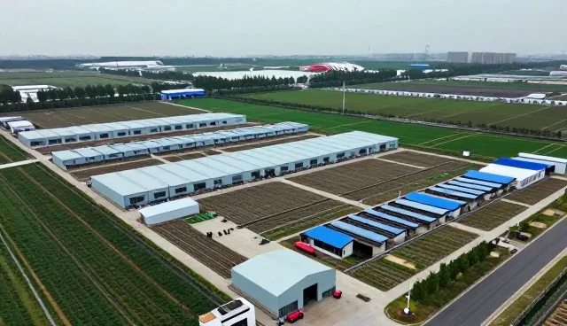 系统运行中故障排查的关键技巧与日常维护建议